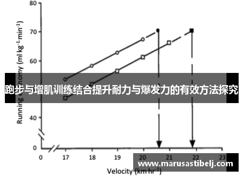 跑步与增肌训练结合提升耐力与爆发力的有效方法探究